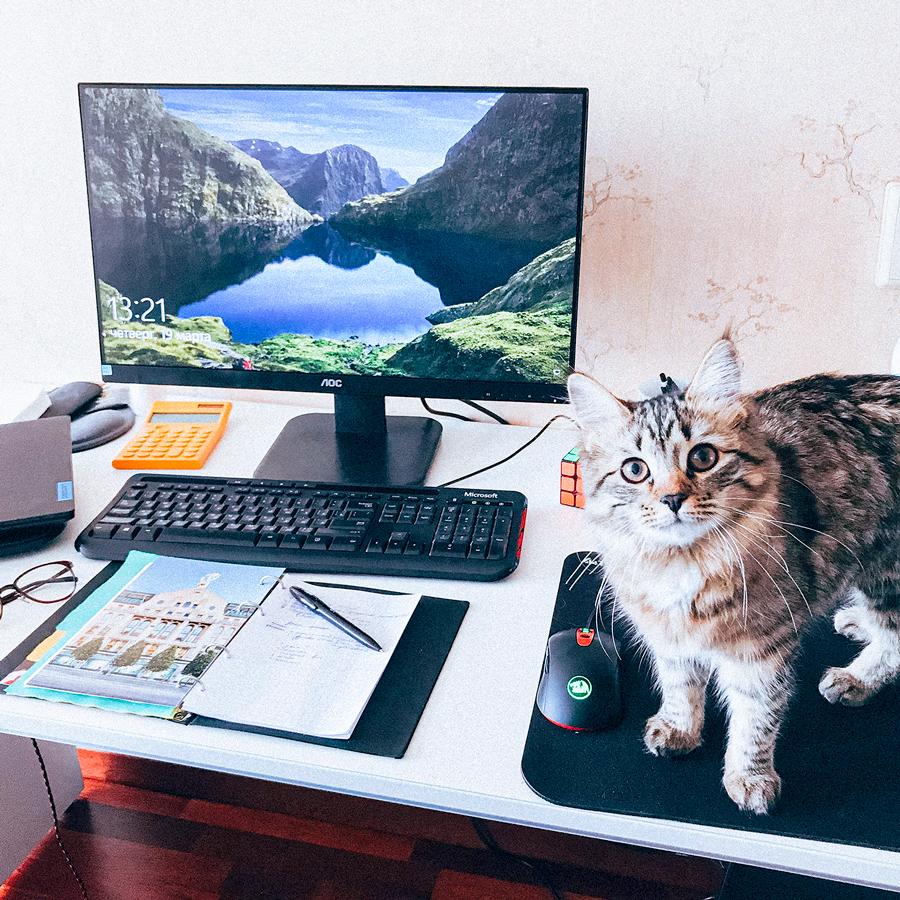 Bringing the Office Home: Mytonians’ Stories and Tips